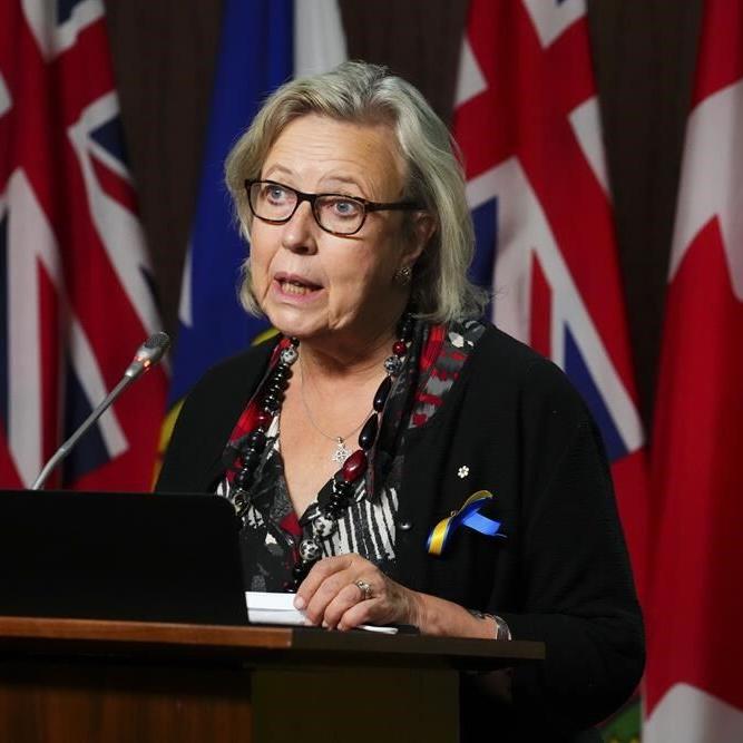 Elizabeth May elected Green leader again, to share burden with Jonathan Pedneault